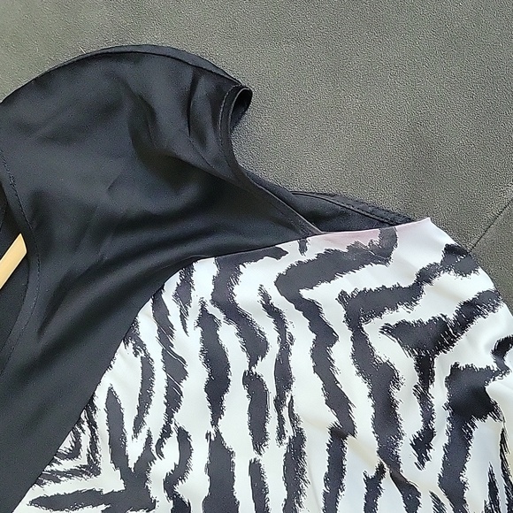 Express Zebra stripe dress - Picture 3 of 5